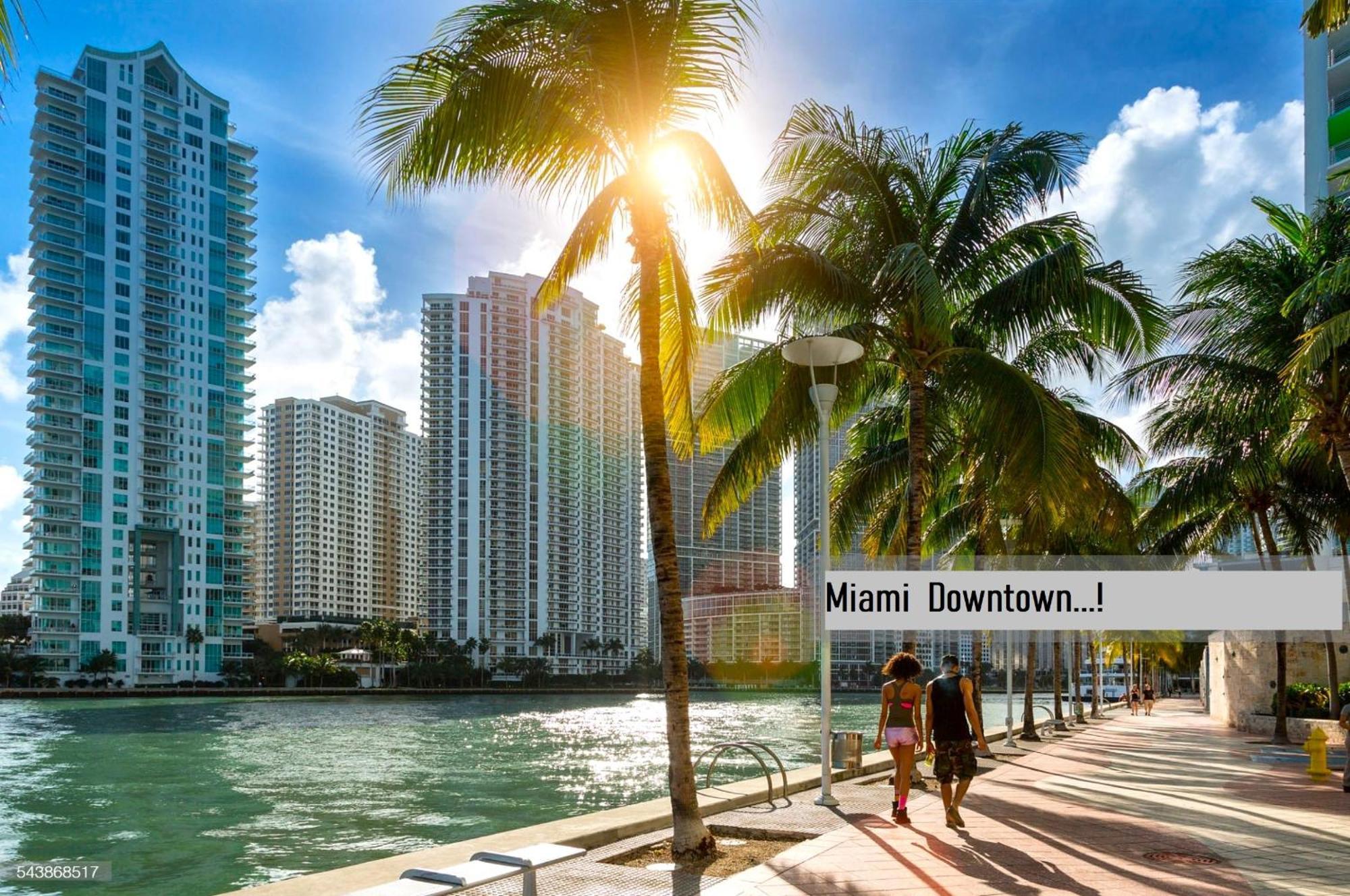 Experience The Perfect Miami Life!! Centrally Located Luxury Condo! Zewnętrze zdjęcie